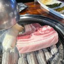 둥구리마을 이미지