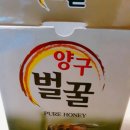 양구 벌꿀 이미지