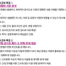 T-3 이미지