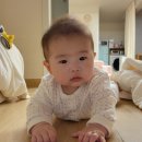 하하하도 | [제주시 숙소] 제주도 민박 " 하하하도 " - 6개월 아기와 제주도 여행