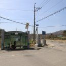 천년숲동로(서) Daum카페