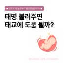The건강발전소 PT &Wellness | 태명 뜻과 작명 시기는? 건강한 2026 말띠 아기 태명 추천 리스트