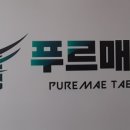 푸르매태권도 이미지