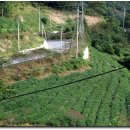 은곡농장 이미지