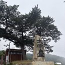 씨유태종대점 이미지