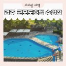 코모도 실내수영장 | [공지] 경주 코모도호텔 수영장 아이와 방문 후기