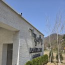 양은목장 | 경기도 가평 양떼목장 솔직 방문 후기