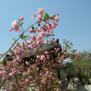 엄광산임도 이미지