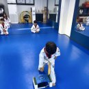 황금발태권도 이미지