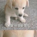 애월연탄집 이미지