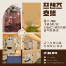 도그프렌즈 이미지