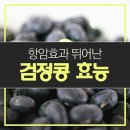 검정콩 - 쥐눈이콩(서목태 검정콩)의 효능 이미지