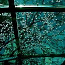 금마문화사 | 일본문화 원류로서의 백제문화