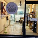 미용하는 강아지 이미지