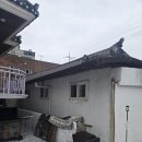 진복롯찌 이미지