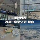 2135 | 대한항공 부산 후쿠오카 직항 KE2135 기내식 탑승후기