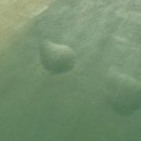 동탄센트럴파크 인라인스케이트장 이미지