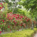 공운삼거리 이미지