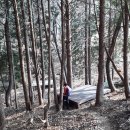 상노농장 Daum카페