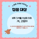 모네동물피부과