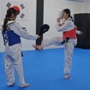 신수태권도장 이미지