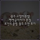 펫엔글라이더 - 서구 계룡로615번길 100 | 광주 고양이분양 펫엔글라이더 본점 로던트클럽 광주 추천 후기