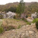 자연향펜션민박 이미지