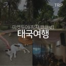 6일(4) 마켓투어 / 참차마켓, 코코넛마켓, 넹 무옵옹, 쎄러데이마켓(토요마켓), 윙맨뮤직바, 세븐...