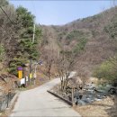 사나사(사찰 앞) 이미지