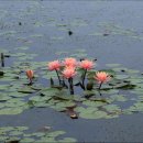 의왕초등학교 이미지