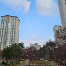 도안휴먼시아1단지 이미지