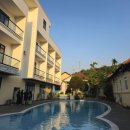 망고 스테이 이미지