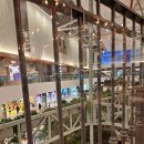 피자이탈리 | 여의도 더현대 화덕피자 맛집 추천, '이탈리' 가격/웨이팅/주차 비교