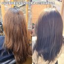 신길야구장 | 동래미용실 탈색없는 염색 잘하는 사직동미용실 신길이네미장원 사직점