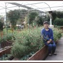 경주농원 이미지