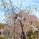 부곡온천 | 부산 근교 1박 여행코스 추천 창녕 연지못 산책 부곡 온천 가족탕 후기