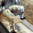 산장낚시터 | 당진 은봉산장 식당 카페 안국저수지 뷰 보며 즐기는 한상차림 솔직후기