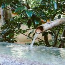 백암온천호텔스파 이미지