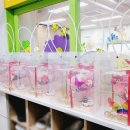 가곡초등학교, 가곡초교(병설유치원) 이미지