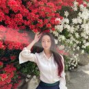 닥터케이신발