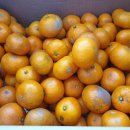 준이네농장 이미지