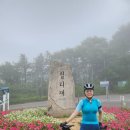 [타이어]미쉐린 파워컵 튜블리스 레디 28인치 150km 장거리 주행 후기