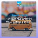 봉PC | 여행자보험비교 추천 트래블메딕 내돈내산후기 셀카봉 보험금 수령 후기