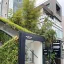 🐶[압구정로데오 맛집] 르자당브런치카페 | 정원 같은 브런치 카페 &amp; 꽃집 (내돈내산, 반려동물 동반 가능)