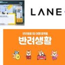 에이엔컴퍼니 이미지