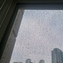 청라힐데스하임아파트경로당 | 인천 청라 힐데스하임 아파트 방충망 교체 시기-여름 전에 꼭 하세요!