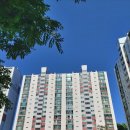 영통 살구골717동 옆 이미지