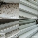 코지팰리스 이미지