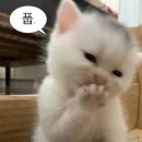 서울교육대학교 교육대학원 | 서울교육대학교 대학원 지원 후기🎓