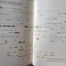 신화미용실 이미지